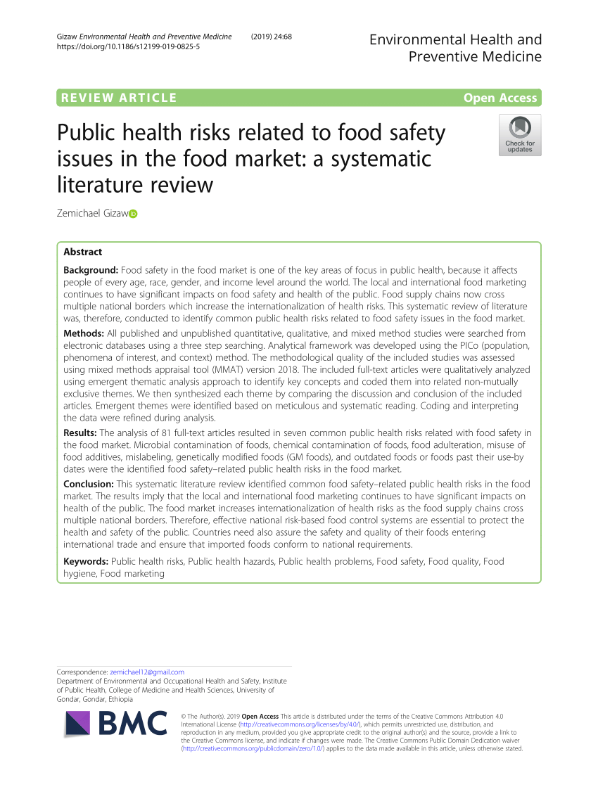 literature review on food safety and hygiene