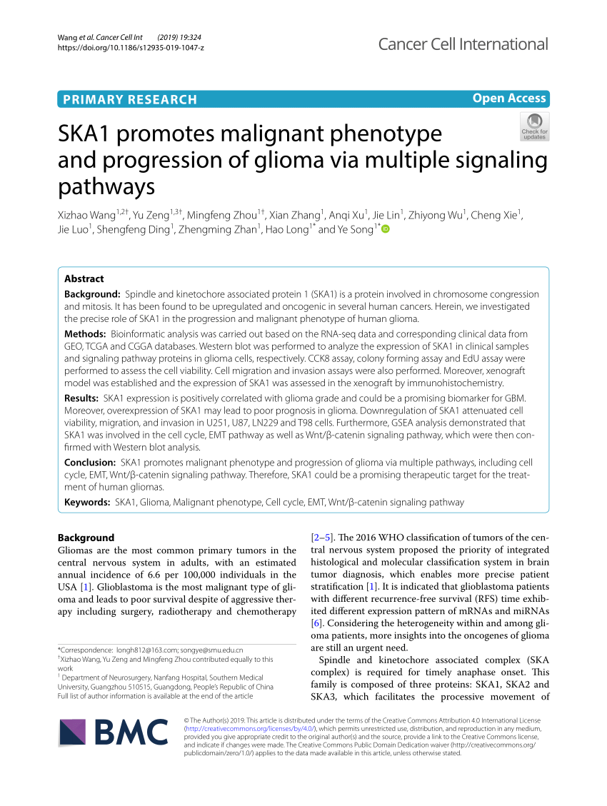 Aurora B Regulates The Interaction Between Ska And Kmn A Hela S3 Download Scientific Diagram