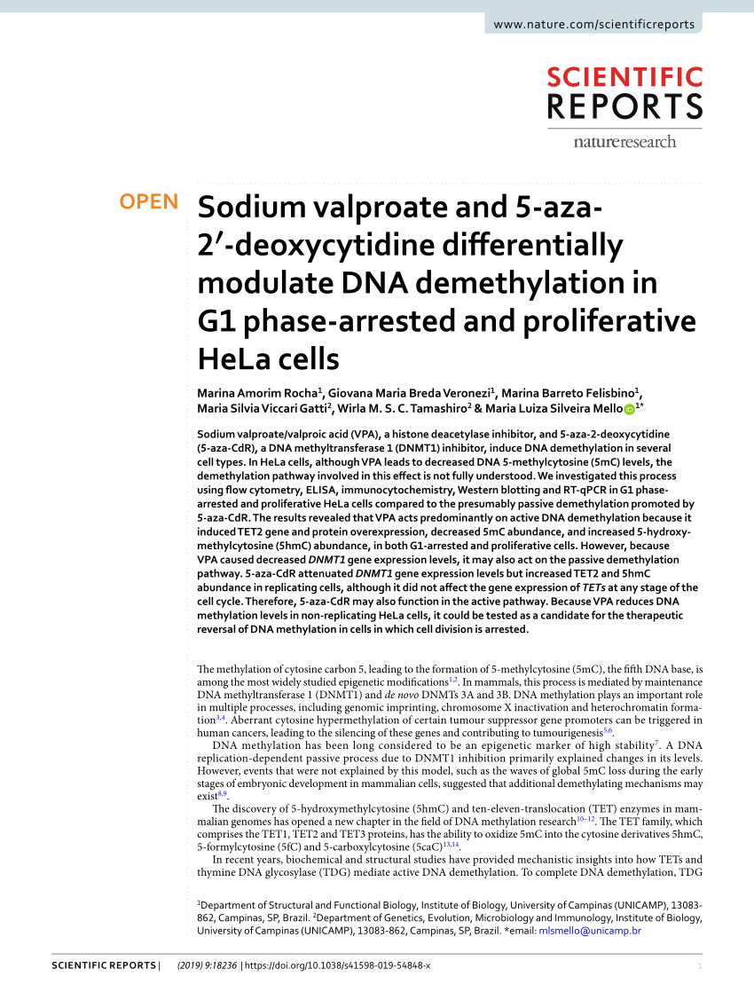 Sodium valproate and 5-aza-2′-deoxycytidine differentially modulate DNA  demethylation in G1 phase-arrested and proliferative HeLa cells