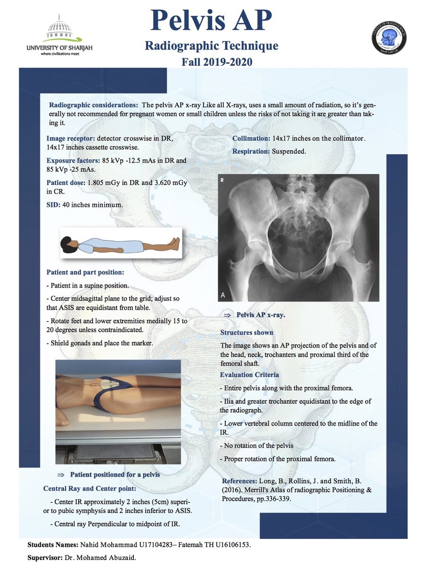 Pdf Pelvis Ap Projection