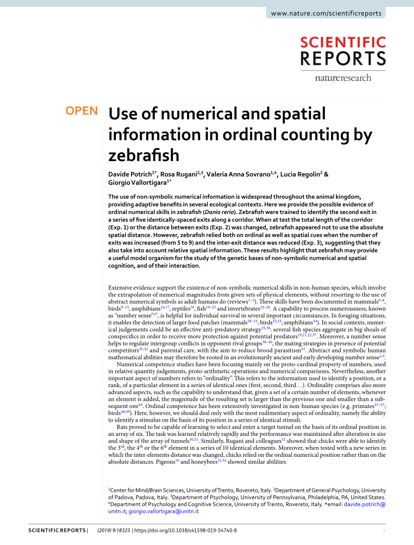 PDF Use of numerical and spatial information in ordinal counting  