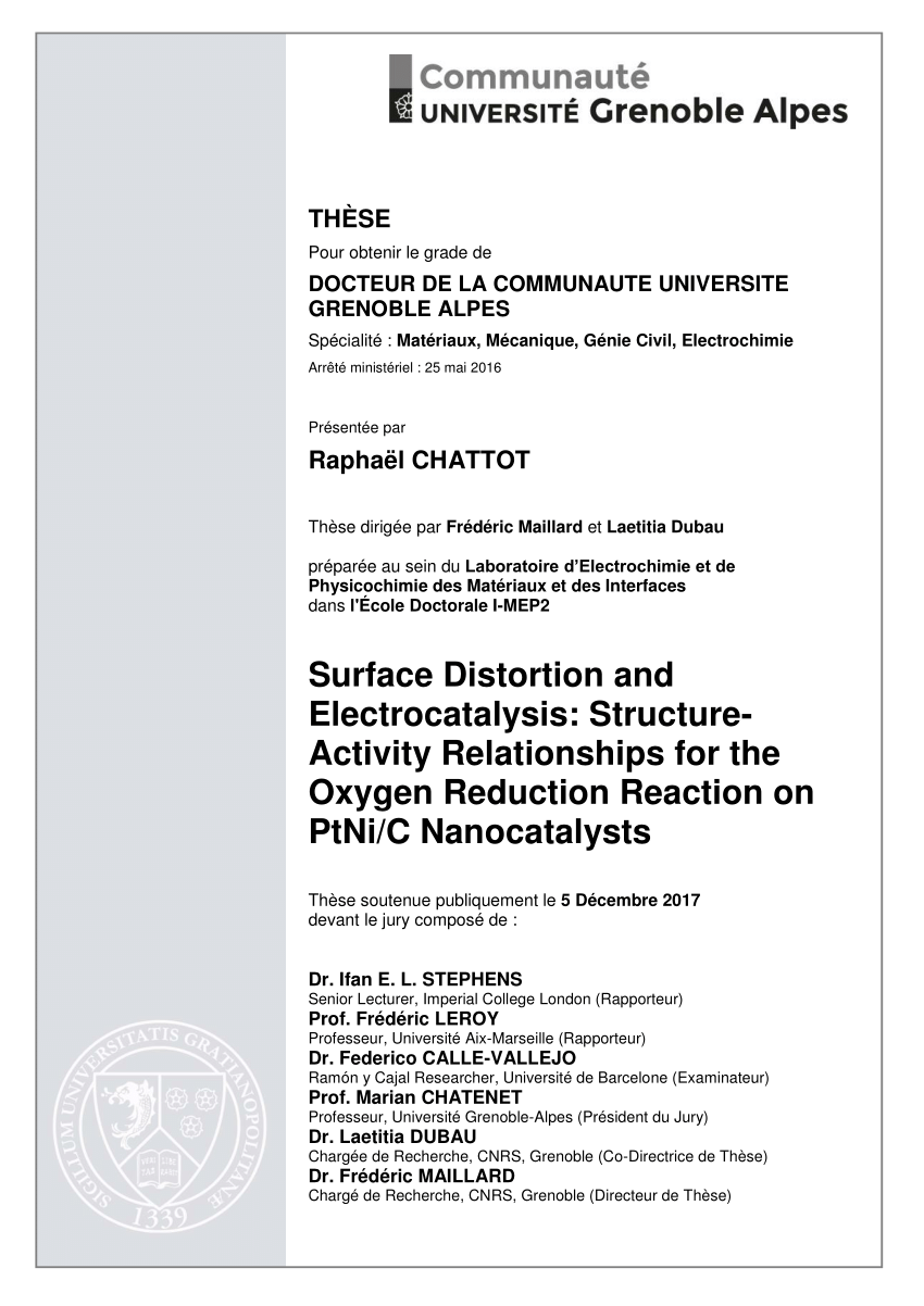 doctoral thesis reaction detachment disorder