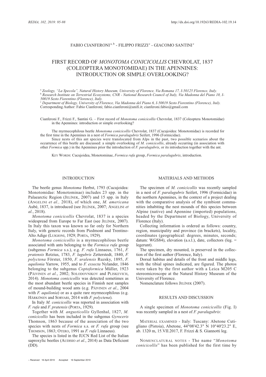 Pdf First Record Of Monotoma Conicicollis Chevrolat 1837 Coleoptera Monotomidae In The Apennines Introduction Or Simple Overlooking