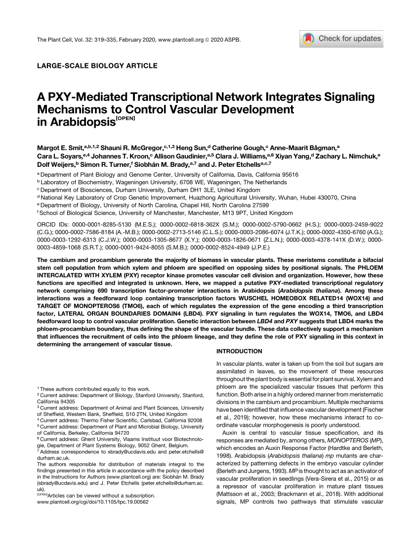 Pdf A Pxy Mediated Transcriptional Network Integrates Signaling Mechanisms To Control Vascular Development In Arabidopsis