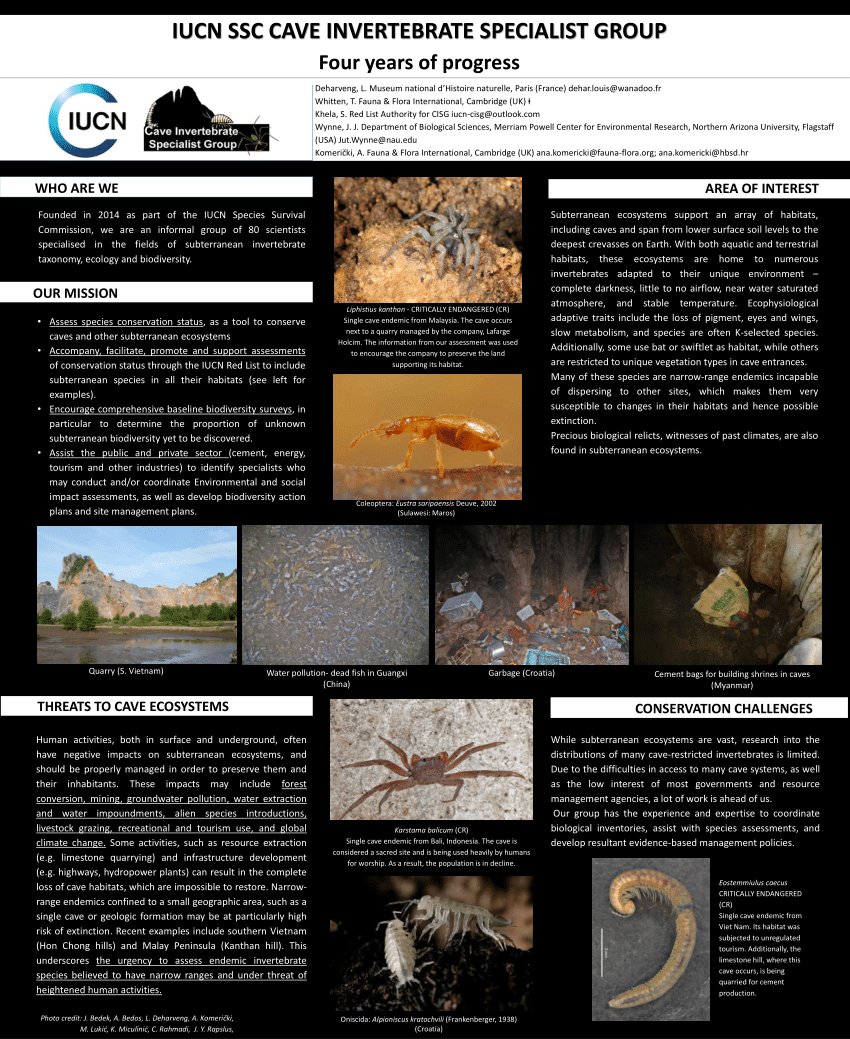 (PDF) IUCN SSC Cave Invertebrate Specialist Group: Four years of progress