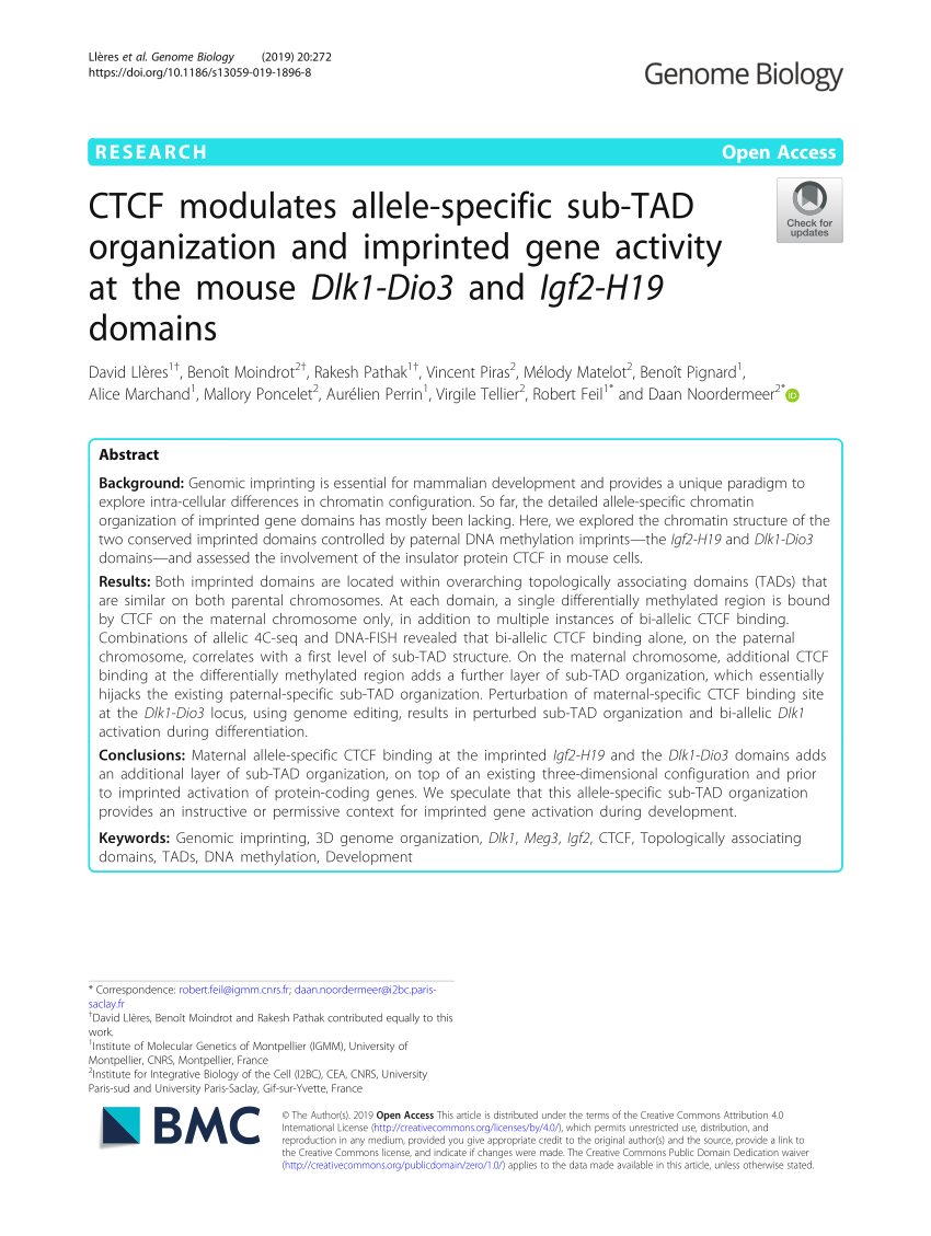 PDF) CTCF modulates allele-specific sub-TAD organization and imprinted gene  activity at the mouse Dlk1-Dio3 and Igf2-H19 domains