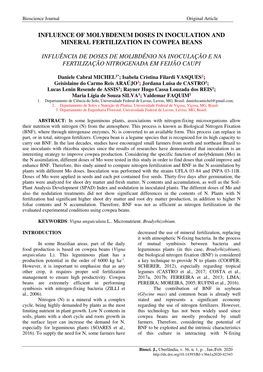 PDF) Bradyrhizobium spp. Strains in Symbiosis with Pigeon Pea cv. Fava-Larga  under Greenhouse and Field Conditions