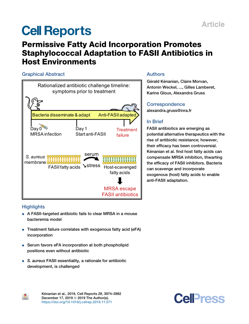 Pdf Permissive Fatty Acid Incorporation Promotes Staphylococcal Adaptation To Fasii Antibiotics In Host Environments