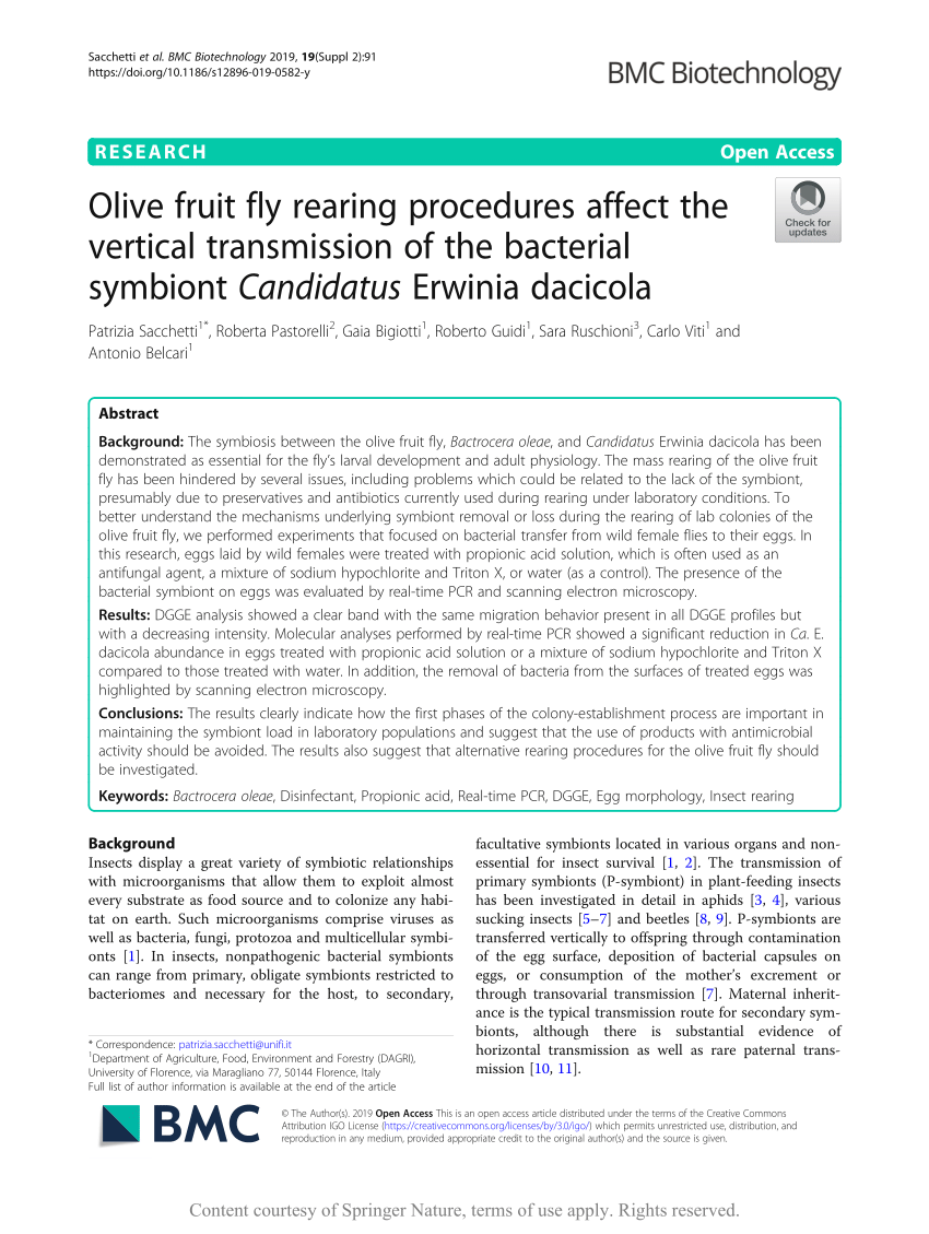 PDF Olive fruit fly rearing procedures affect the vertical