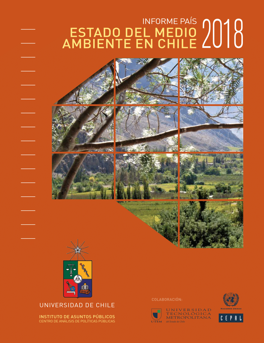 PDF) Capítulo 5- Suelos- informe pais estado del ambiente en chile 2018