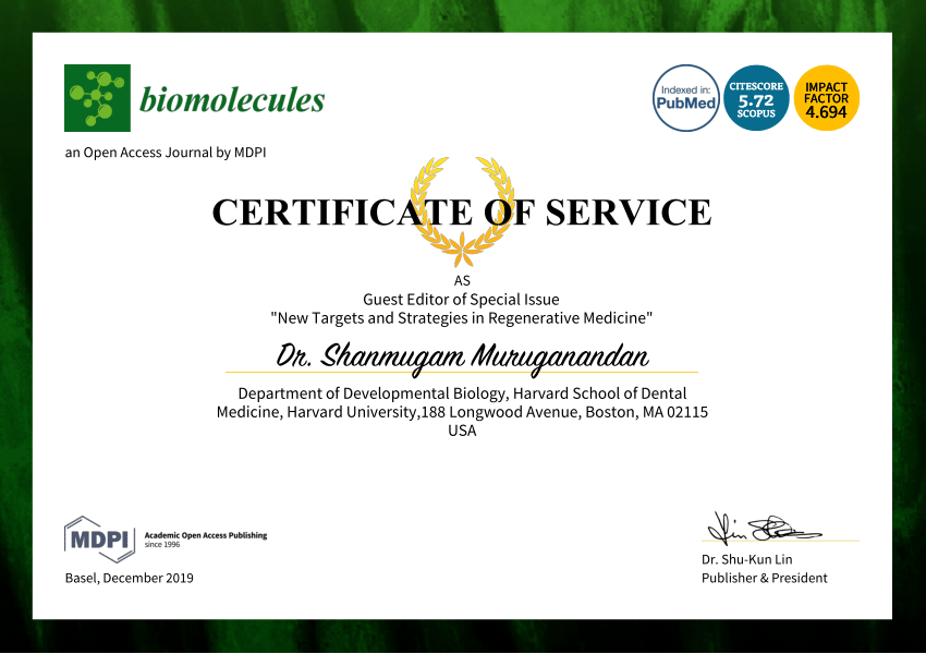 Certificate Of Service Template