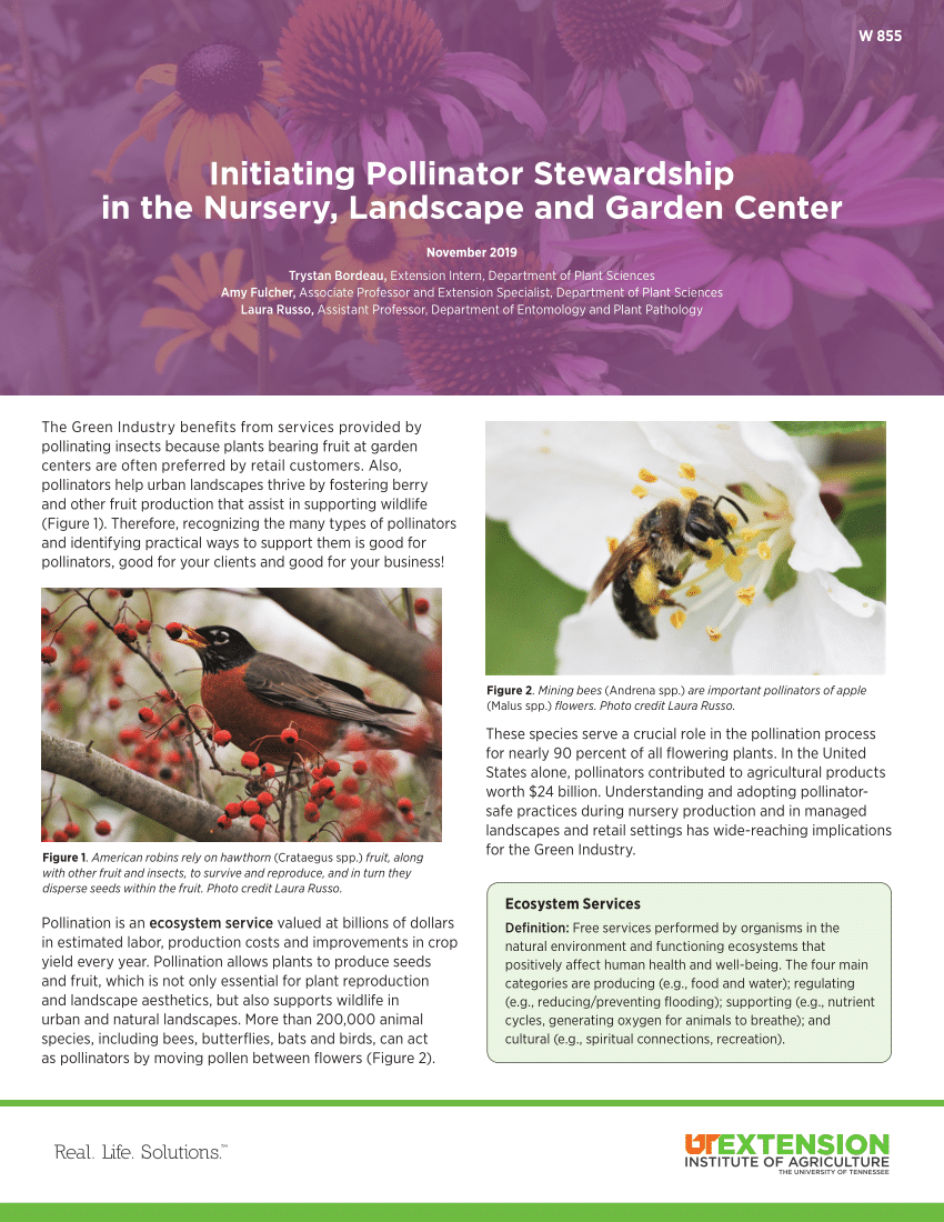 Pdf Initiating Pollinator Stewardship In The Nursery Landscape