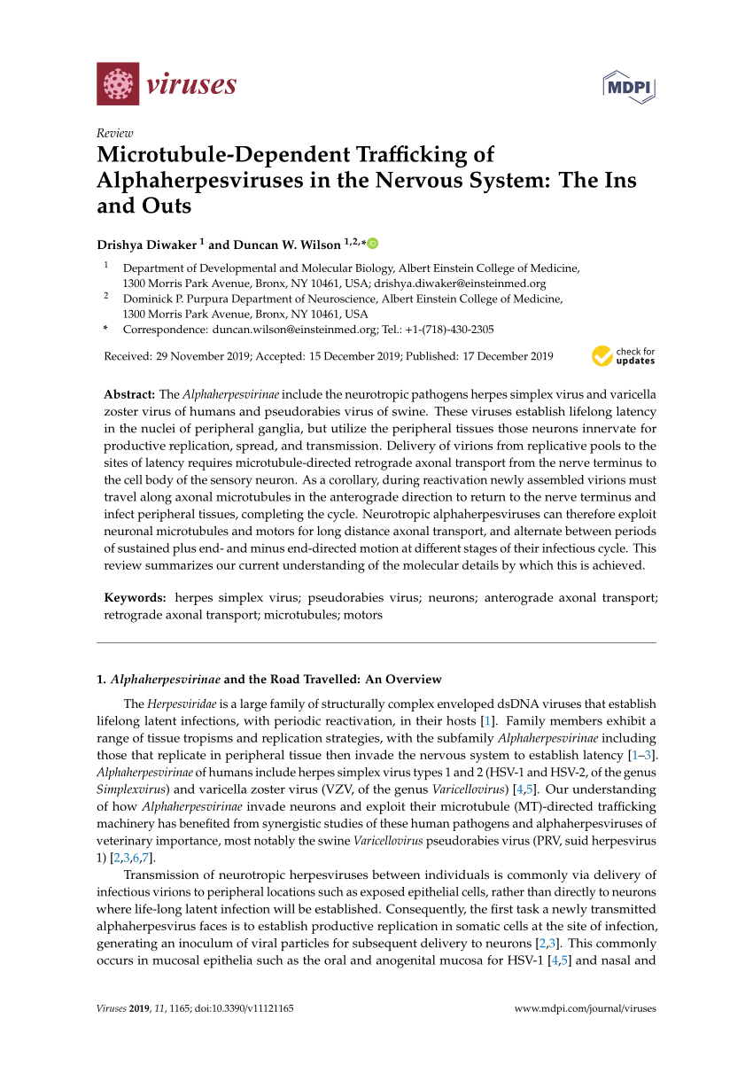 Pdf Microtubule Dependent Trafficking Of Alphaherpesviruses In The Nervous System The Ins And Outs - bypassed roblox ids november 2019 17
