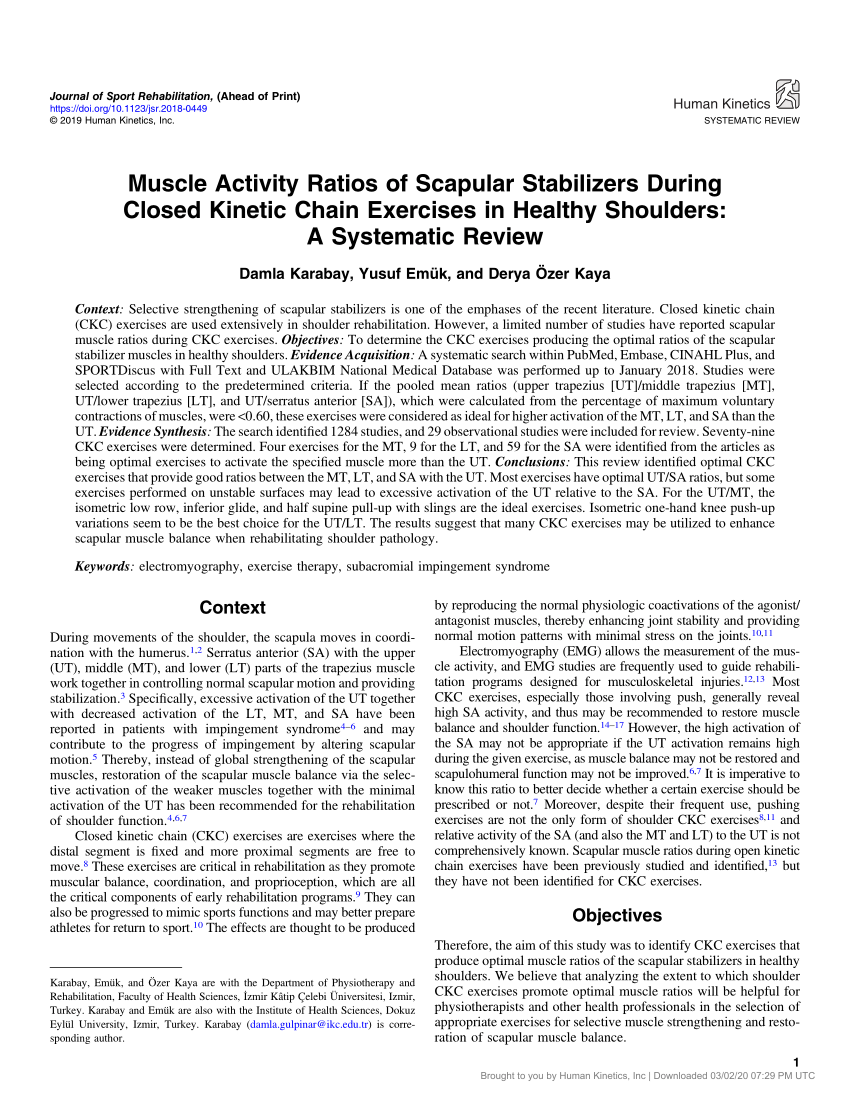 Shoulders, Biceps, and Triceps Workout – Human Kinetics