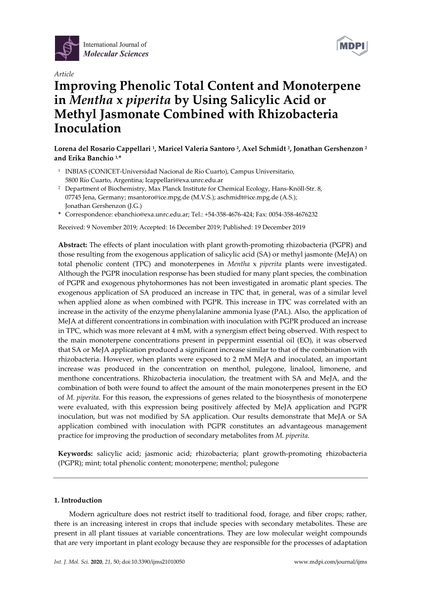 Pdf Improving Phenolic Total Content And Monoterpene In Mentha X Piperita By Using Salicylic Acid Or Methyl Jasmonate Combined With Rhizobacteria Inoculation