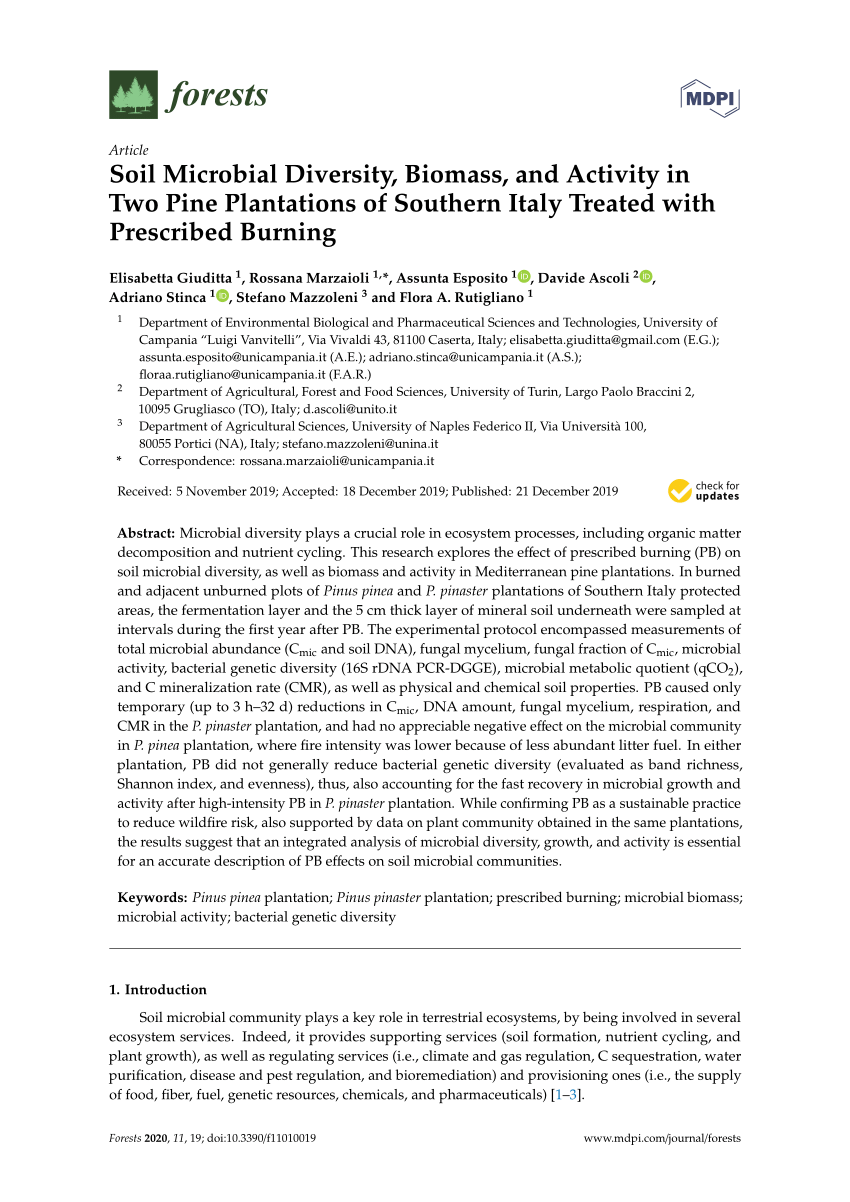 Pdf Soil Microbial Diversity Biomass And Activity In Two Pine Plantations Of Southern Italy Treated With Prescribed Burning