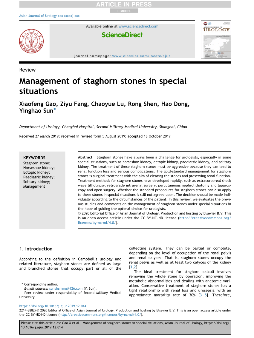 Pdf Management Of Staghorn Stones In Special Situations
