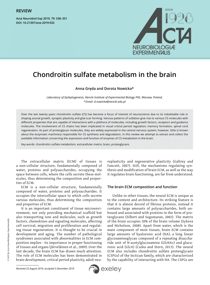 PDF) Chondroitin sulfate metabolism in the brain