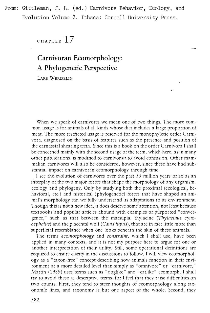 Carnivore Behavior, Ecology, and Evolution