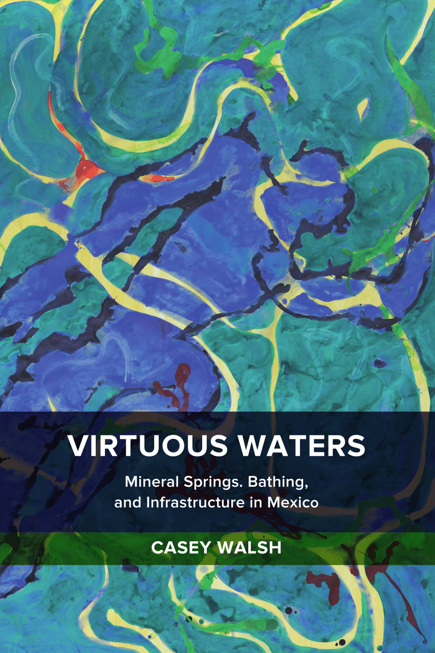 PDF) Virtuous Waters: Mineral Springs, Bathing, and Infrastructure