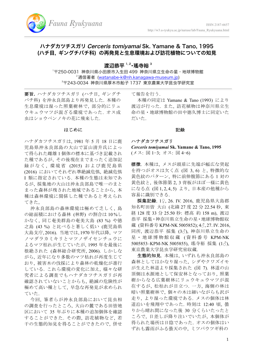 Pdf Rediscovery Of Cerceris Tomiyamai Sk Yamane Tano 1995 Hymenoptera Crabronidae With A Note On Its Habitat In Japanese With English Summary