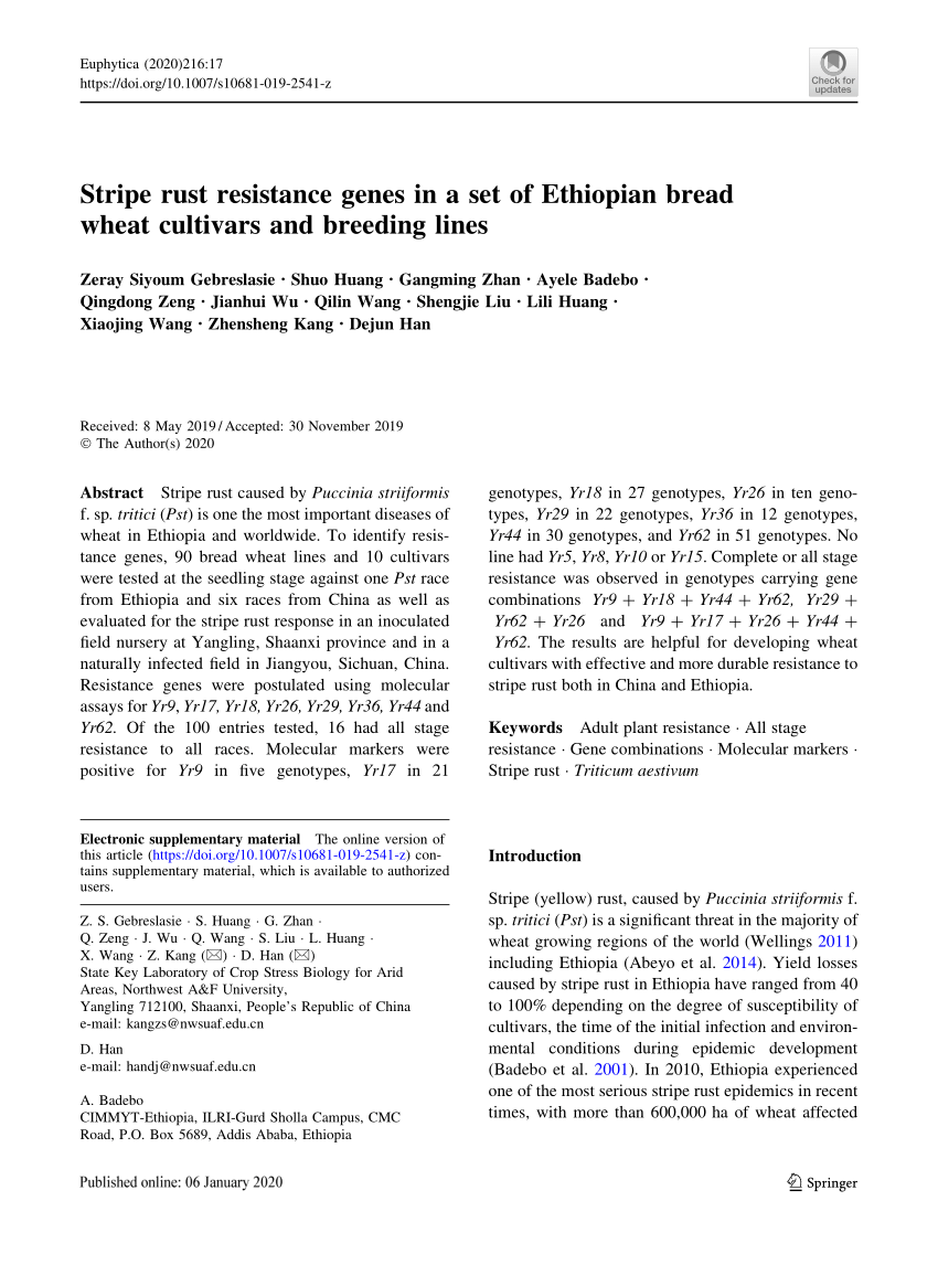 PDF) Stripe rust resistance genes in a set of Ethiopian bread 