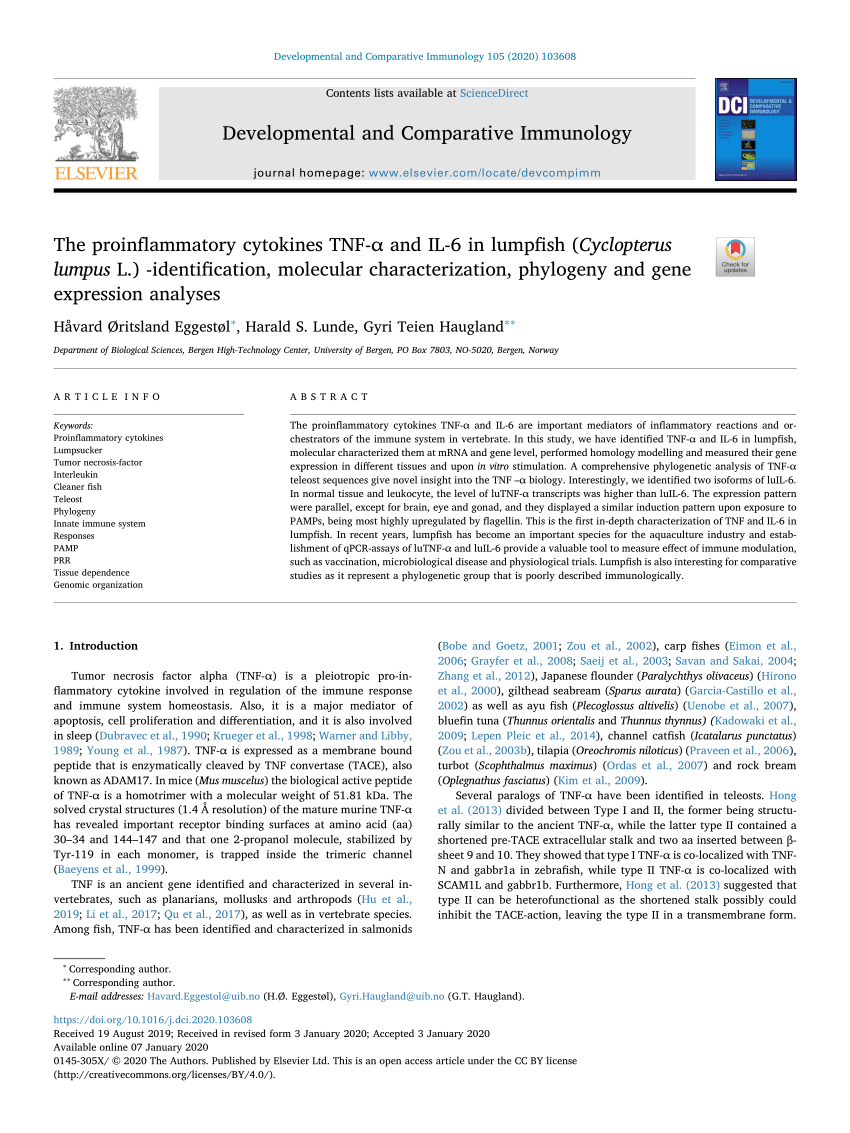 PDF) The proinflammatory cytokines TNF-α and IL-6 in lumpfish (Cyclopterus  lumpus L.) -identification, molecular characterization, phylogeny and gene  expression analyses