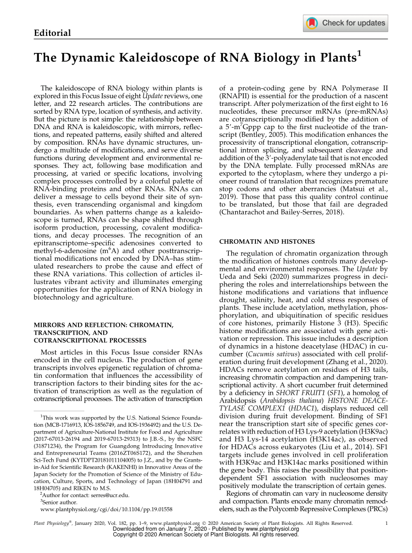 (PDF) The Dynamic Kaleidoscope of RNA Biology in Plants