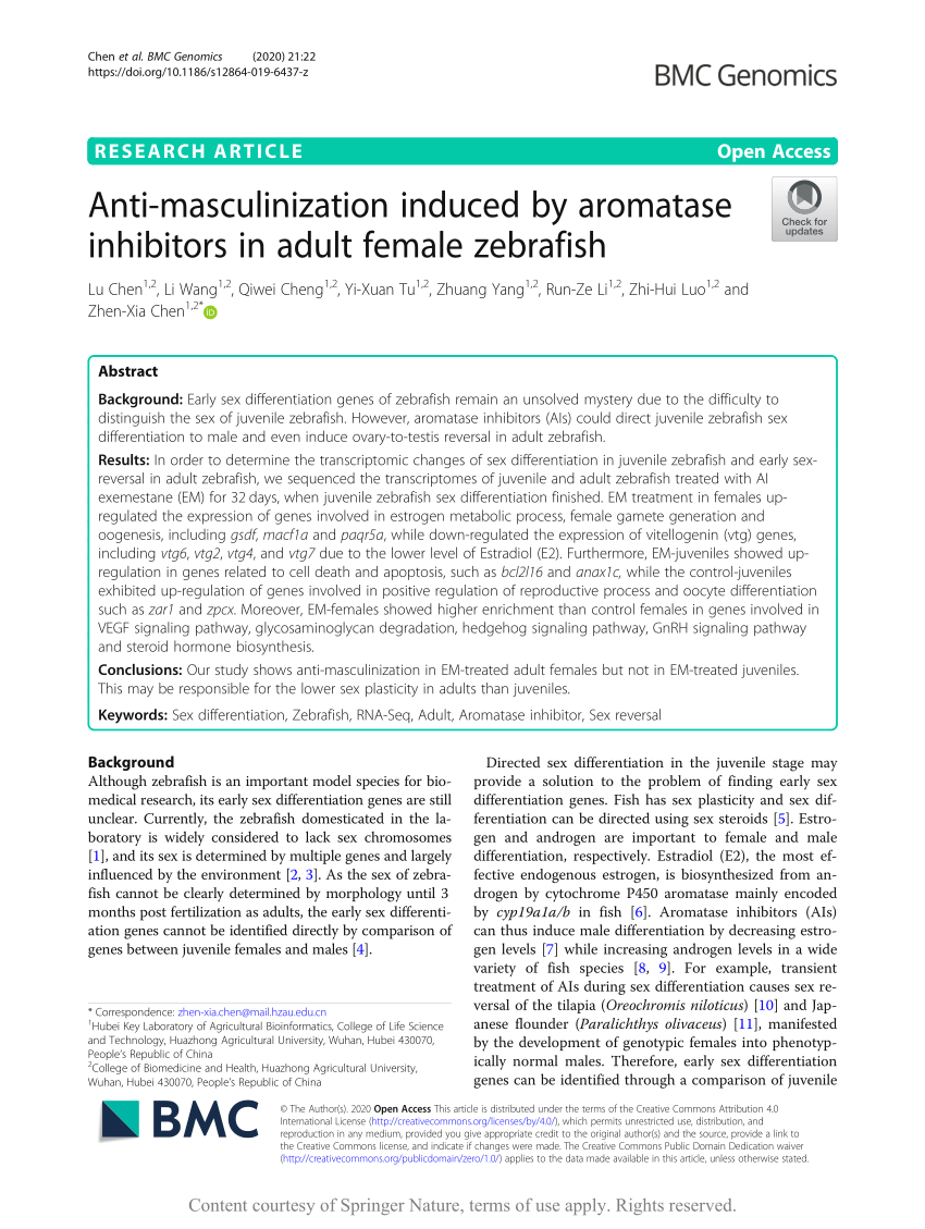 PDF Anti masculinization induced by aromatase inhibitors in adult  