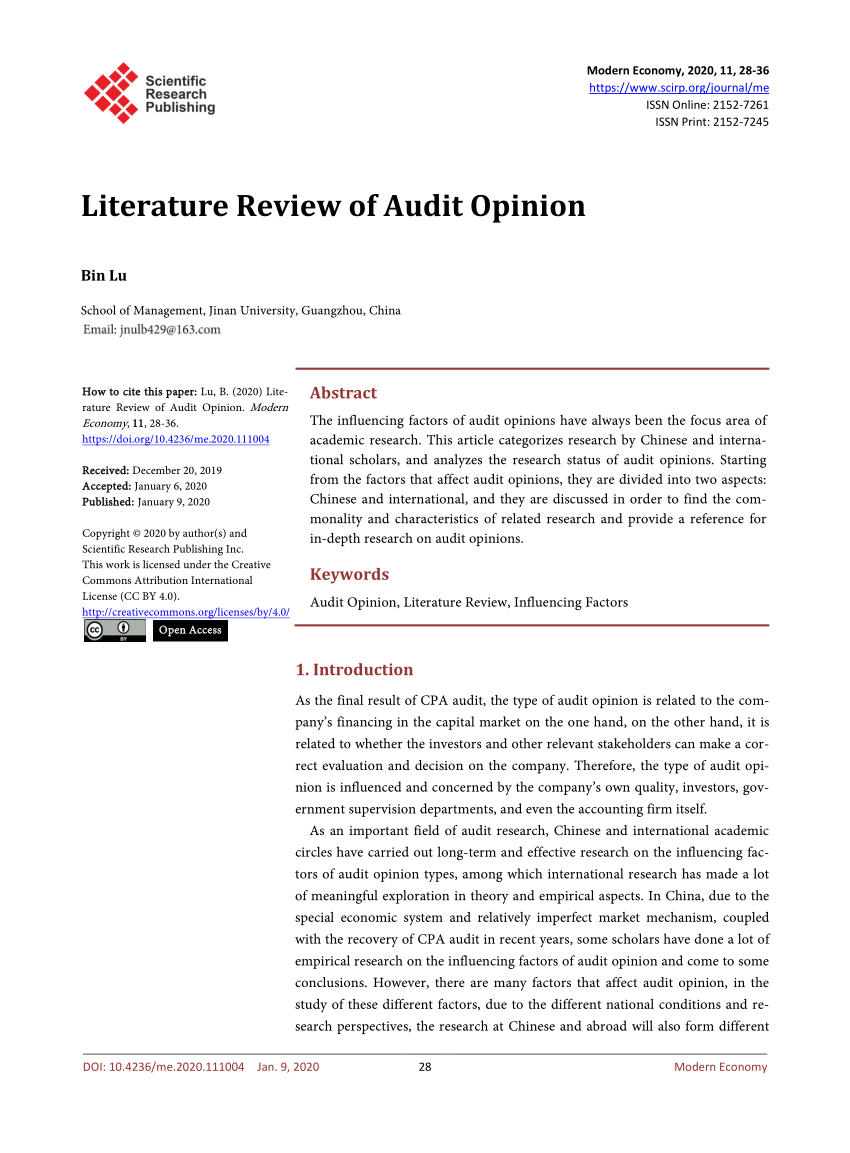 literature review on auditing pdf