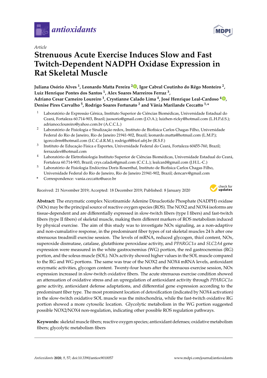 Pdf Strenuous Acute Exercise Induces Slow And Fast Twitch Dependent Nadph Oxidase Expression In Rat Skeletal Muscle