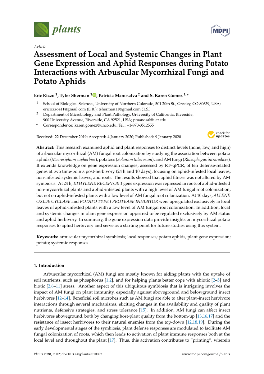 https://i1.rgstatic.net/publication/338504792_Assessment_of_Local_and_Systemic_Changes_in_Plant_Gene_Expression_and_Aphid_Responses_during_Potato_Interactions_with_Arbuscular_Mycorrhizal_Fungi_and_Potato_Aphids/links/5e1871d04585159aa4c35d7b/largepreview.png