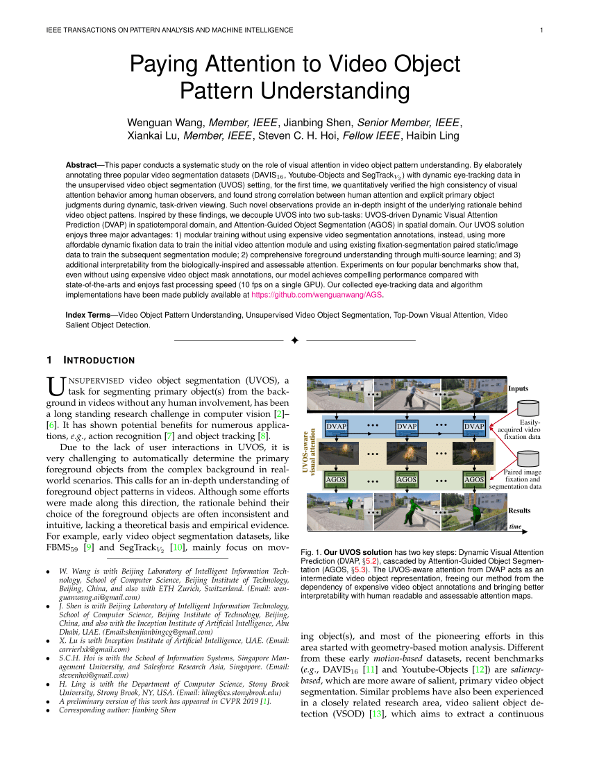 Pdf Paying Attention To Video Object Pattern Understanding