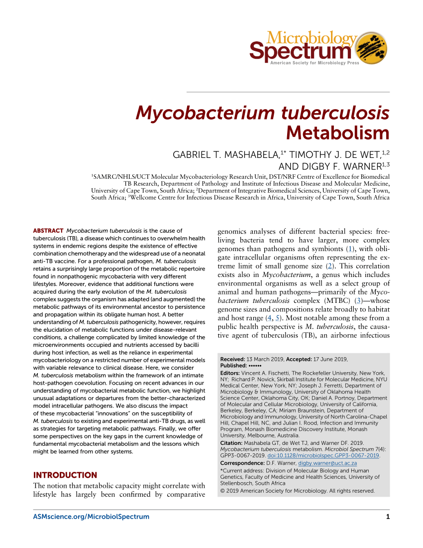 (PDF) Mycobacterium tuberculosis Metabolism