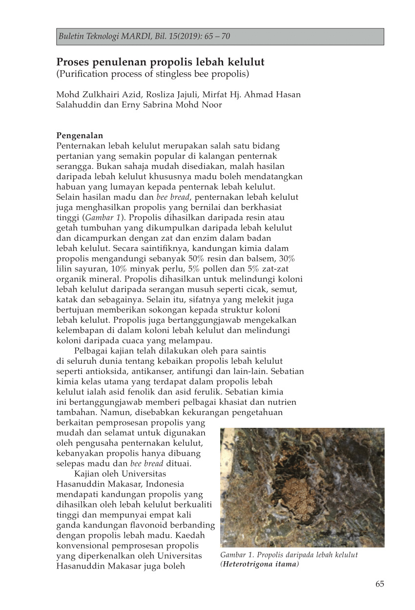 Pdf Proses Penulenan Propolis Lebah Kelulut Purification Process Of Stingless Bee Propolis