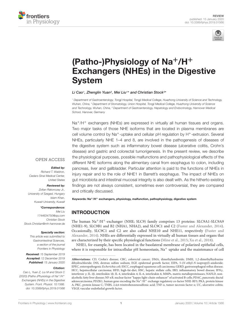 Pdf Patho Physiology Of Na H Exchangers Nhes In The