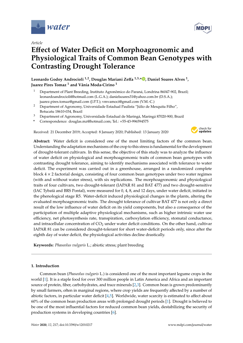 Drought stress affects on growth, water use efficiency, gas exchange and  chlorophyll fluorescence of Juglans rootstocks