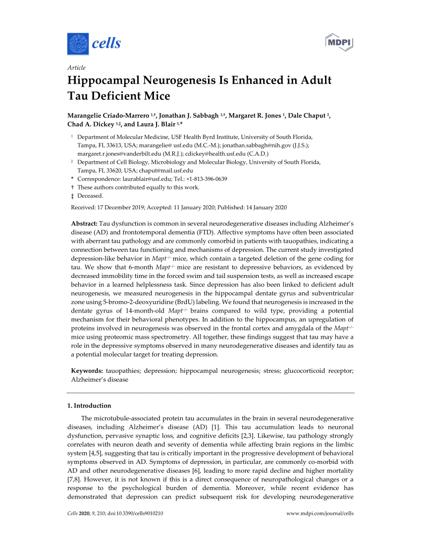 Pdf Hippocampal Neurogenesis Is Enhanced In Adult Tau Deficient Mice