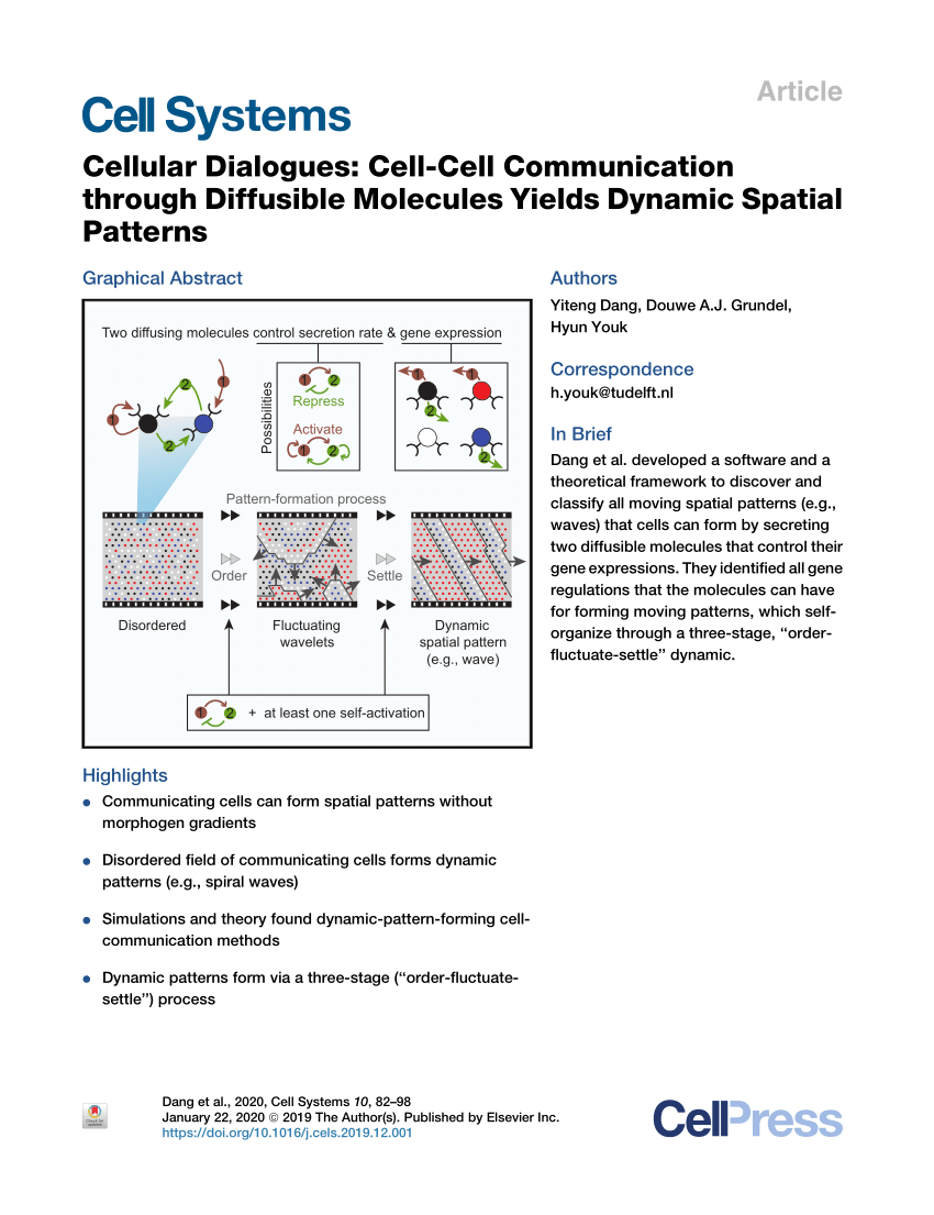 Pdf Cellular Dialogues Cell Cell Communication Through Diffusible Molecules Yields Dynamic Spatial Patterns