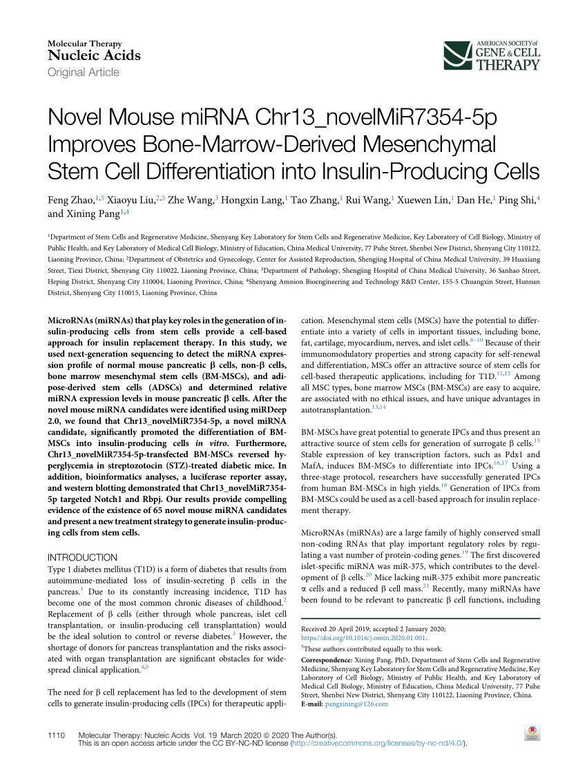 Pdf Novel Mouse Microrna Chr13 Novelmir7354 5p Improves Bone Marrow Derived Mesenchymal Stem Cell Differentiation Into Insulin Producing Cells