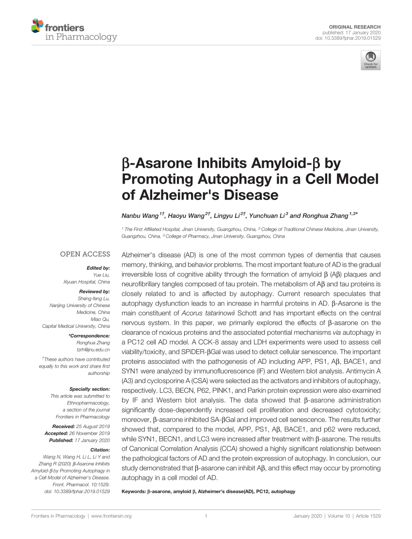 Pdf B Asarone Inhibits Amyloid B By Promoting Autophagy In A Cell Model Of Alzheimer S Disease