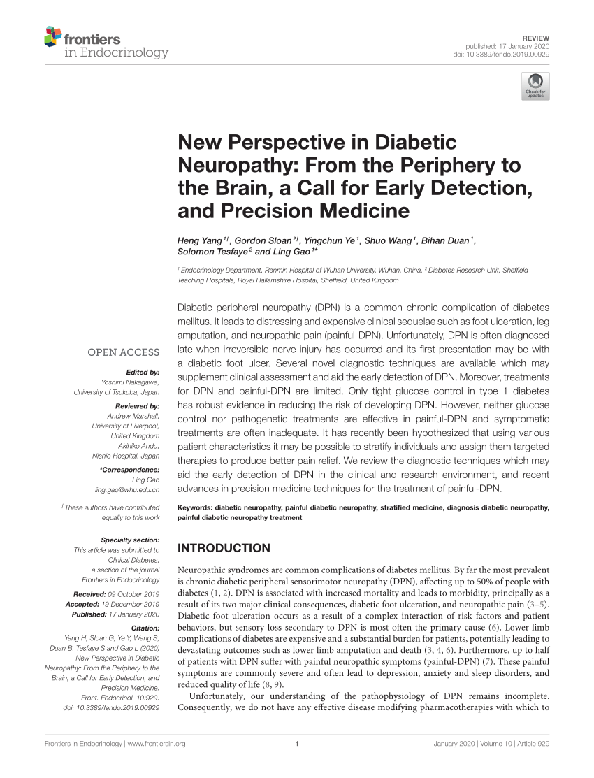 diabetic neuropathy review article pdf)