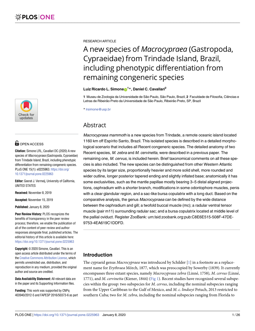 Pdf A New Species Of Macrocypraea Gastropoda Cypraeidae From Trindade Island Brazil Including Phenotypic Differentiation From Remaining Congeneric Species