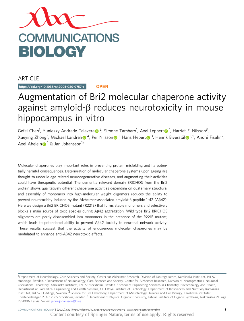 Pdf Augmentation Of Bri2 Molecular Chaperone Activity Against Amyloid B Reduces Neurotoxicity In Mouse Hippocampus In Vitro