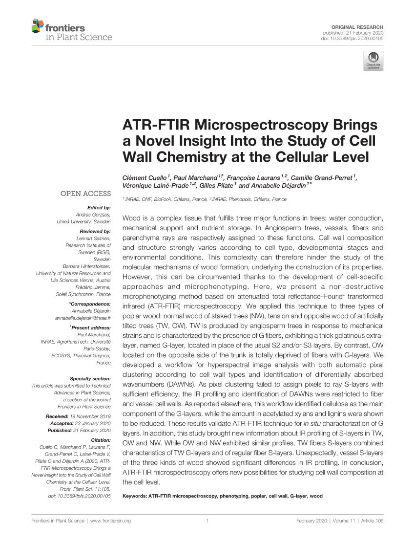 PDF ATR FTIR Microspectroscopy Brings A Novel Insight Into The Study Of Cell Wall Chemistry At