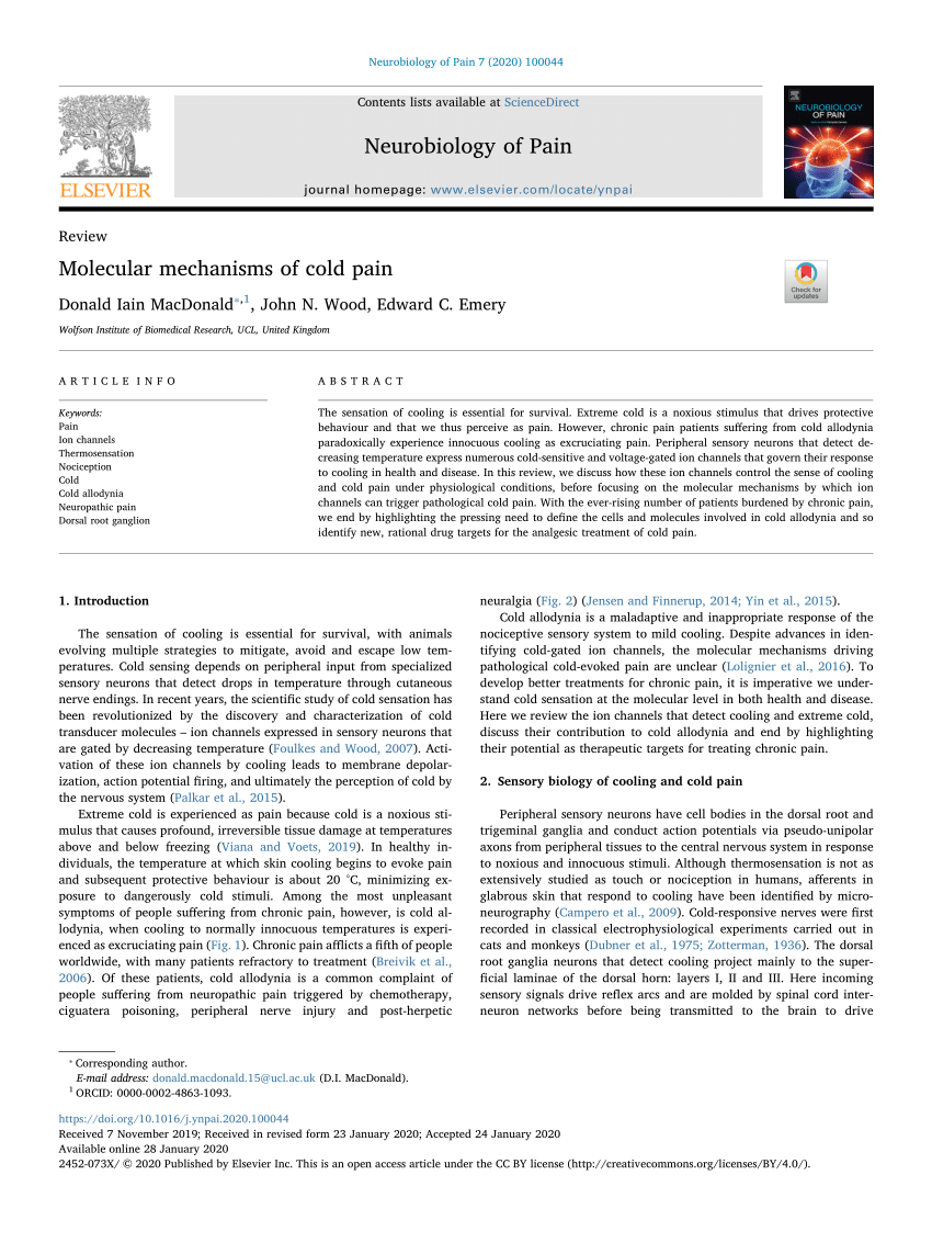 Molecular Prerequisites for Diminished Cold Sensitivity in Ground Squirrels  and Hamsters - ScienceDirect