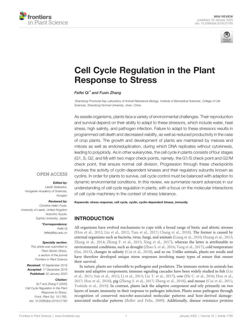 PDF) Cell Cycle Regulation in the Plant Response to Stress