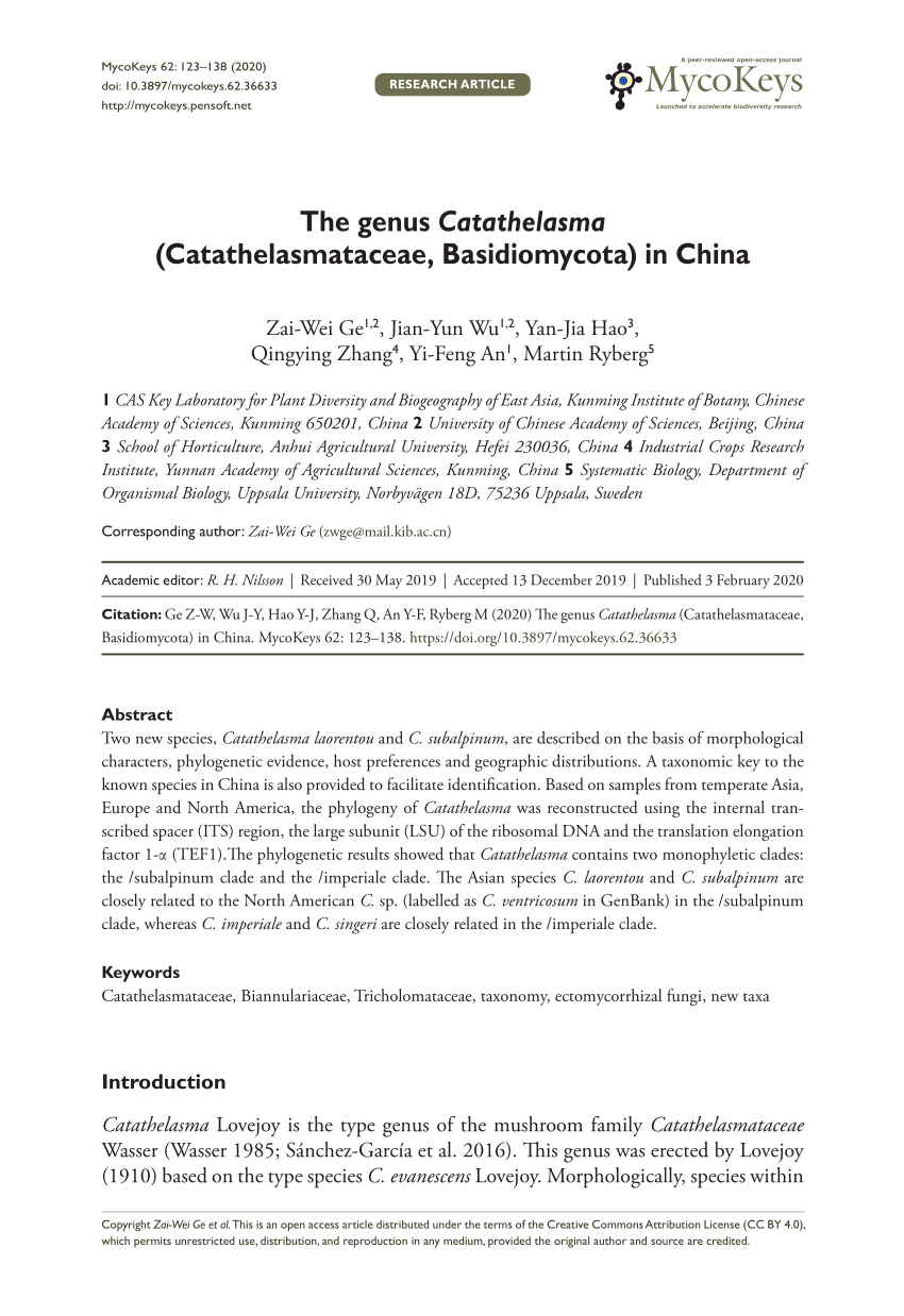 Pdf The Genus Catathelasma Catathelasmataceae Basidiomycota In China