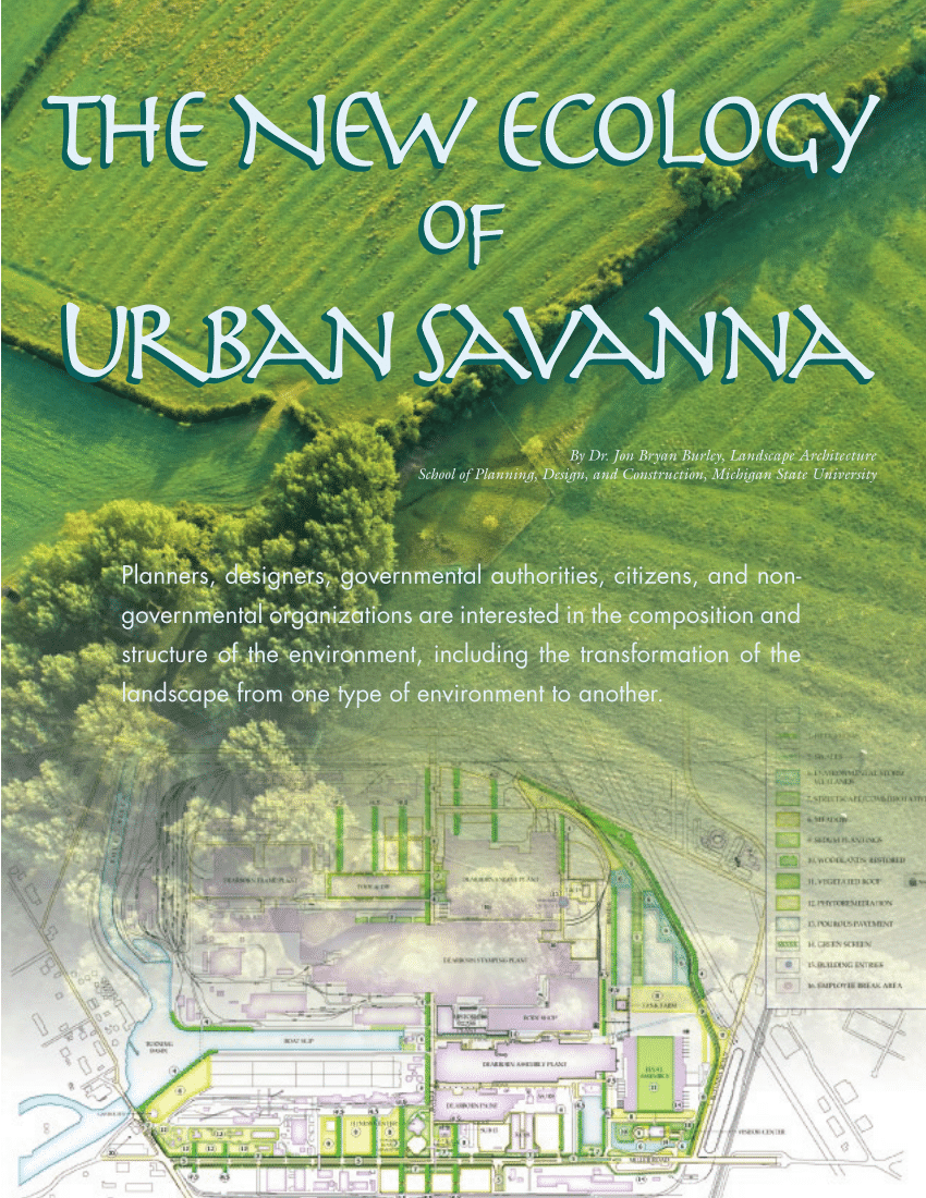 PDF) The New Ecology of Urban Savanna