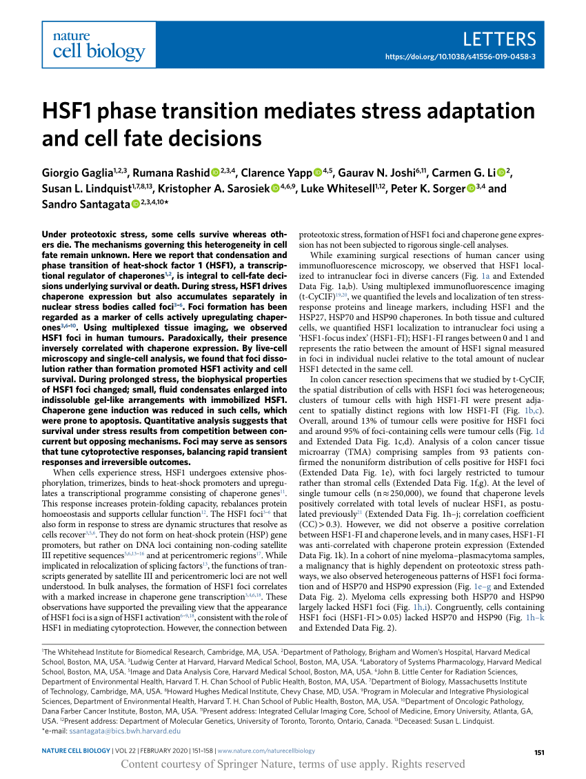 Hsf1 Phase Transition Mediates Stress Adaptation And Cell Fate
